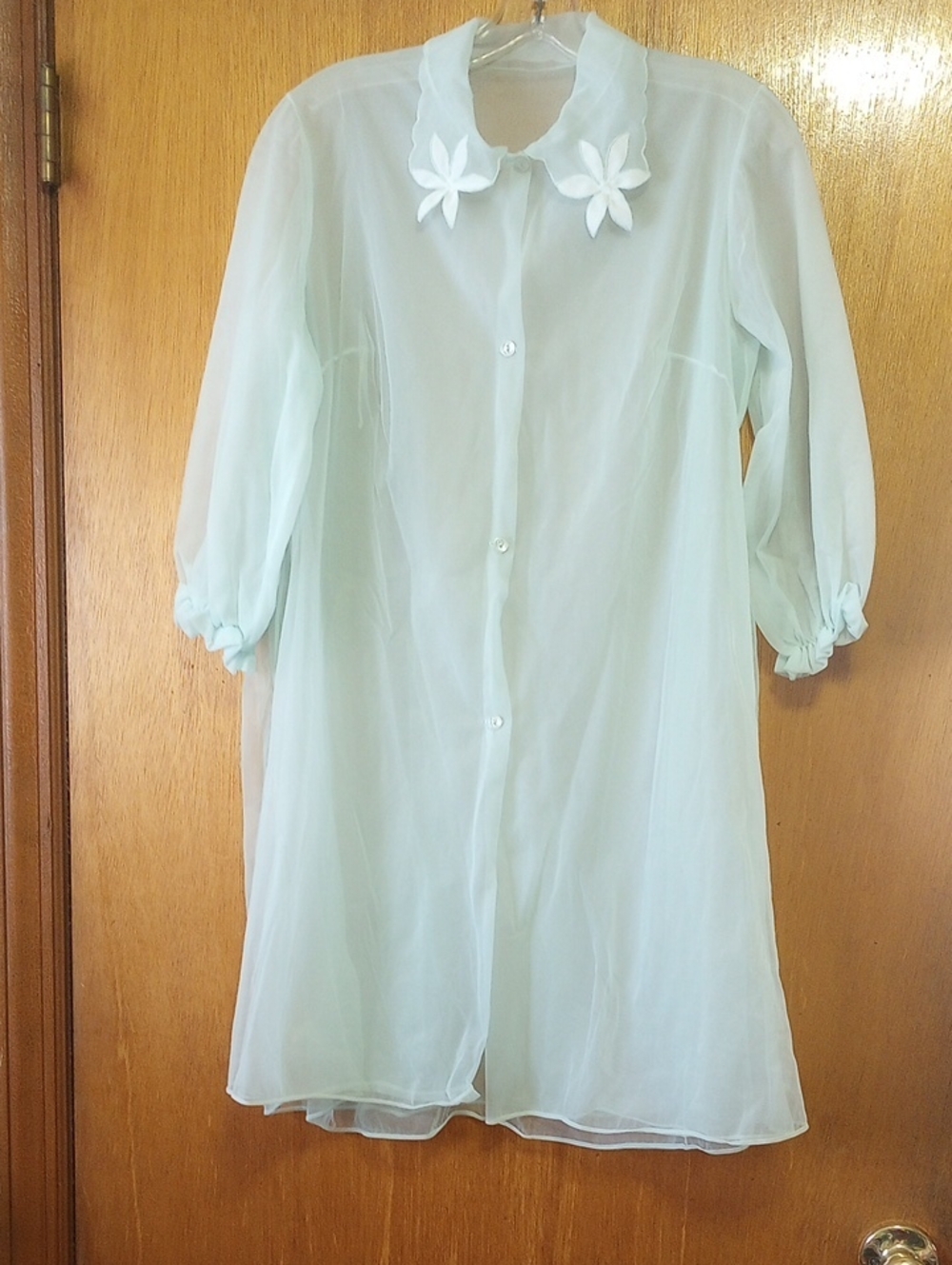 Classic Vintage Sheer Green Summer Robe w/ Scalloped Collar & Flowers. Med?